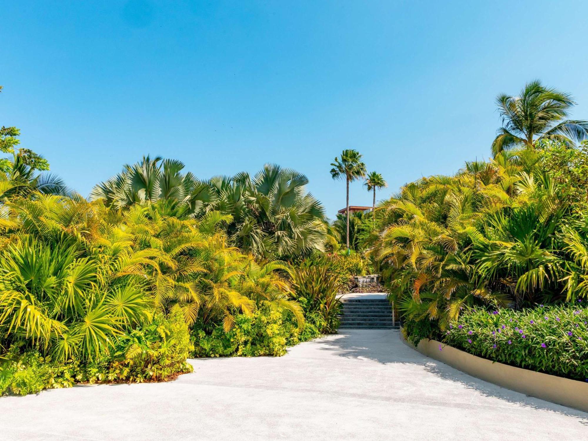 Armony Marival Resort & Spa Punta De Mita - Mgallery Collection (Adults Only) Punta Mita Zewnętrze zdjęcie